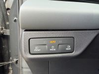 Cupra Terramar VZ 2.0 TSI DSG 4Drive PANO AHK 5J GAR bei Autohaus Landmann & Maier OHG