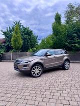 Land Rover Range Rover Evoque 2.2 TD4 Automatik Pure - Land Rover Range Rover Evoque Geländewagen Td4 pure mit Diesel-Antrieb