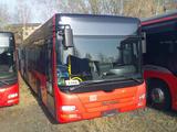 MAN A 20 Lions  City, Deutscher Bus,  ID: 1742 - MAN Lions