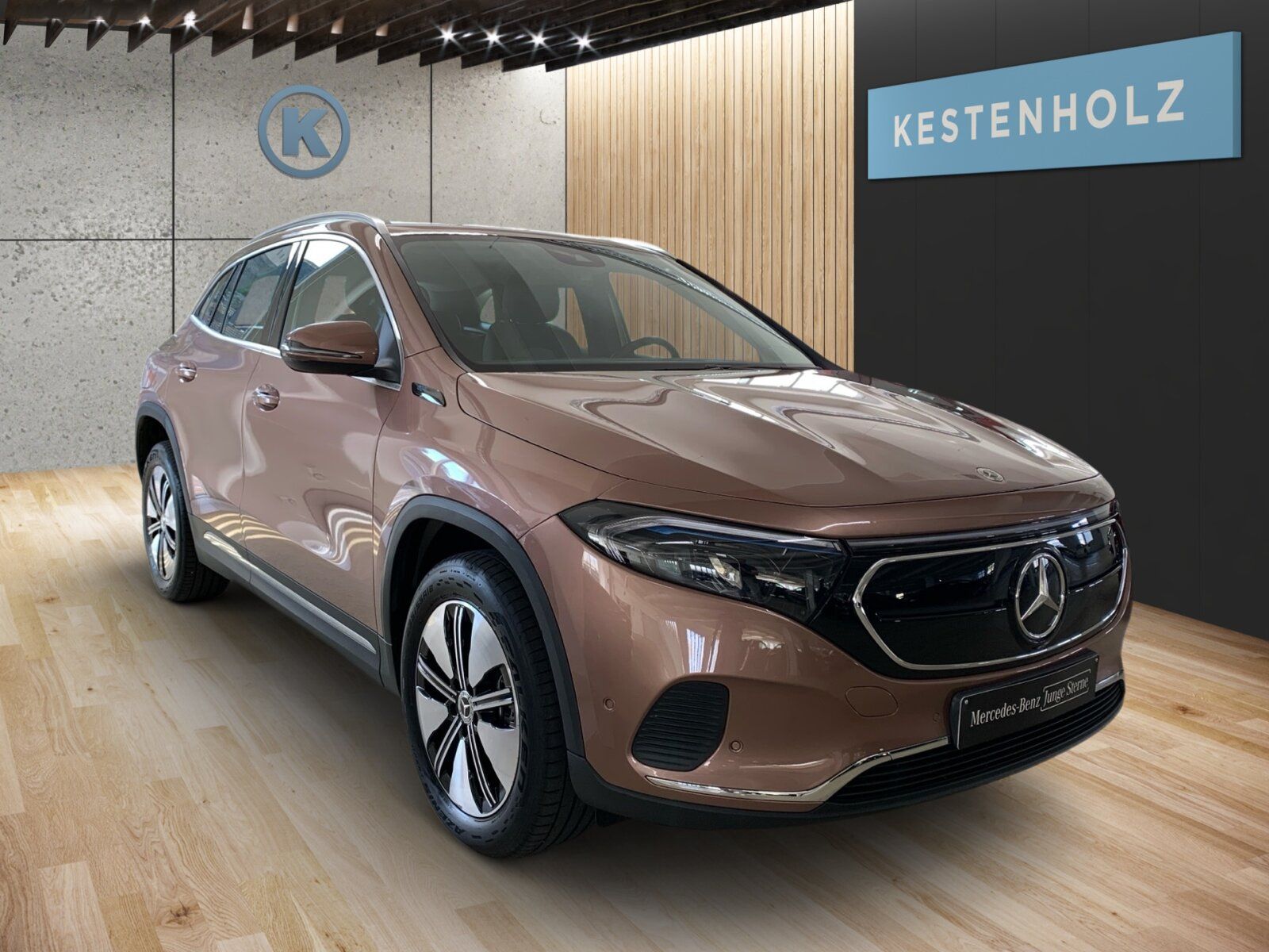 Mercedes-Benz EQA 250 *ELECTRIC-ART*PARK*SPUR*SPIEGEL*TEMPO* imagem 2