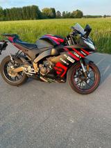 Aprilia RS125 GP Replica - APRILIA 125 REPLICA
