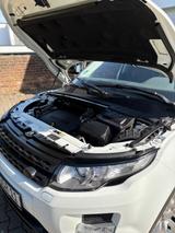 Land Rover Range Rover Evoque 2.2 SD4 White Dynamic Whi... - Land Rover: Sd4