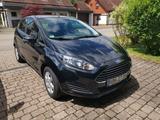 Ford Fiesta 1,25 Trend (60 kW / 82 PS), 5-Türer - Ford Fiesta: 82 Ps