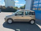 Fiat Panda 1.2 8V Dynamic - Fiat Panda aus 2010: Allradantrieb