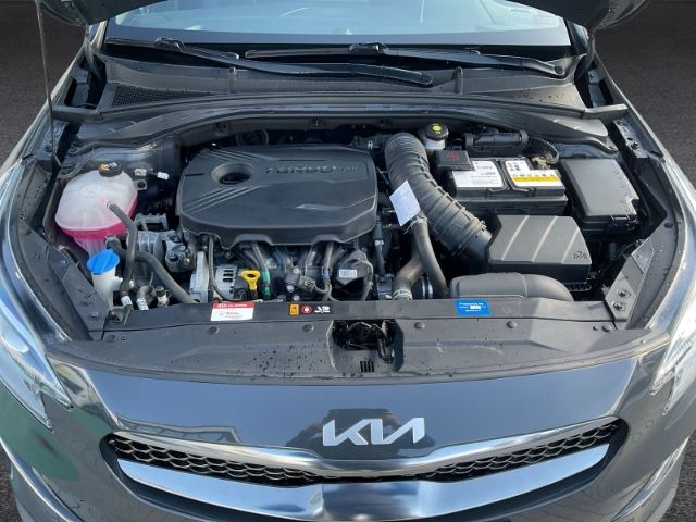 Fahrzeugabbildung Kia XCeed XCEED BLACK XDITION *NAVI* *SITZHEIZUNG* *