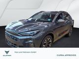 Cupra Terramar 1.5 eTSI DSG HeadUp/LED/ACC - graue Cupra Terramar