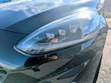 Ford FIESTA ST / PERFORMANCE / STYLING PAKET - Ford Fiesta in Dresden