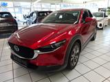 Mazda CX-30 SKYACTIV-X 180 6GS AL-SELECTION A18-B BOS  - Mazda CX-30 aus 2019