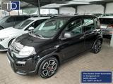 Fiat Panda City Life - gebrauchte Fiat Panda aus dem Jahr 2022