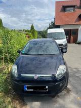 Fiat Punto 1.2 8V POP POP - Fiat Punto: 8v