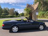 Mercedes-Benz 200 CABRIO FINAL EDITION AMG KLIMA LEDER  - Mercedes-Benz 220: Cabrio