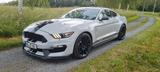Ford Mustang GT 350 Shelby - Ford Mustang: Gt350