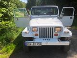 Jeep Wrangler YJ 2,5 l, Top Zustand, H-Kennzeichen  - gebrauchte Jeep Wrangler aus dem Jahr 1990