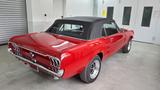 Ford Mustang - Ford Mustang aus 1967 mit Benzin-Antrieb: Cabrio