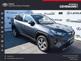 Toyota RAV 4 RAV4 Hybrid 4x2 Team Deutschland - Toyota RAV 4 Gebrauchtwagen in Münster