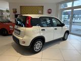 Fiat Panda Pandina City Paket PDC/RADIO - Fiat Panda in Chemnitz