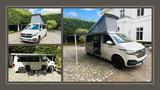 Volkswagen T6 Transporter VANING