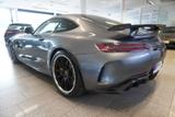 Mercedes-Benz AMG GT R GT-R Coupe Track Package/Ext.-Carbon  - Mercedes-Benz AMG GT R: Sportwagen