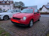 Volkswagen VW Lupo 1.0 Princeton - Volkswagen Lupo Princeton mit Benzin-Antrieb
