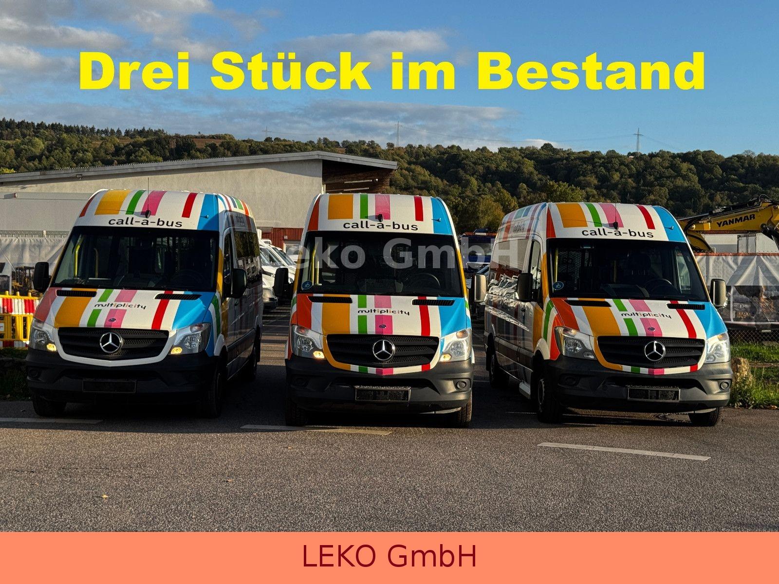 Mercedes-Benz Sprinter 317 Personenbus/Behindertentransport