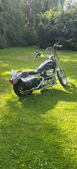 Harley-Davidson XL/2 Sportster 1200 Custom