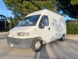 Fiat Ducato Maxi 2.8 ID TD Furgone - gebrauchte Fiat Ducato aus dem Jahr 2000