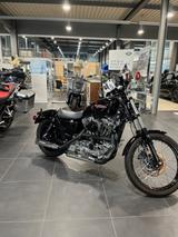 Harley-Davidson Sportster 1200  - Offers