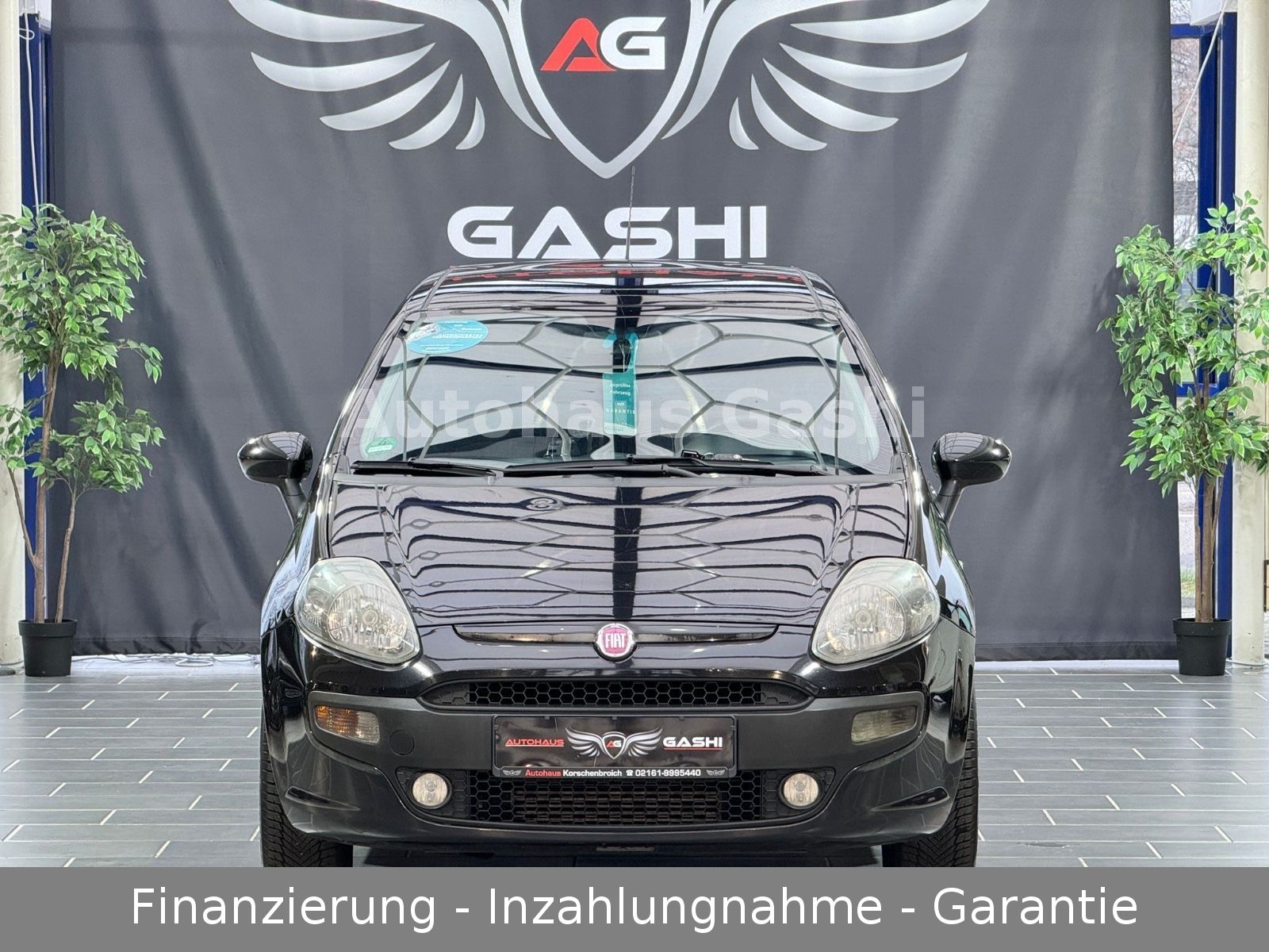 Fahrzeugabbildung Fiat Punto Evo*1.3Multijet*2.Hd*Klima*Euro5*SHZ*Alu.F