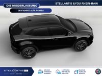 Alfa Romeo Junior - Vorschau Bild 8