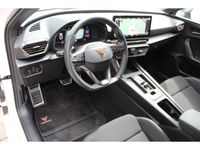Cupra Leon - Vorschau Bild 13