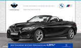BMW 218i Cabrio Advantage Xenon Navi Bus. Tempomat - gebrauchte BMW 218 aus dem Jahr 2015