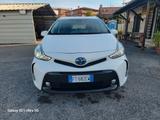 Toyota Prius+ 1.8 Lounge 7 posti TAGLIANDATA TOY - Toyota Prius: 7