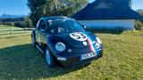 Volkswagen New Beetle 2.0 Standard - Volkswagen New Beetle Standard mit Benzin-Antrieb