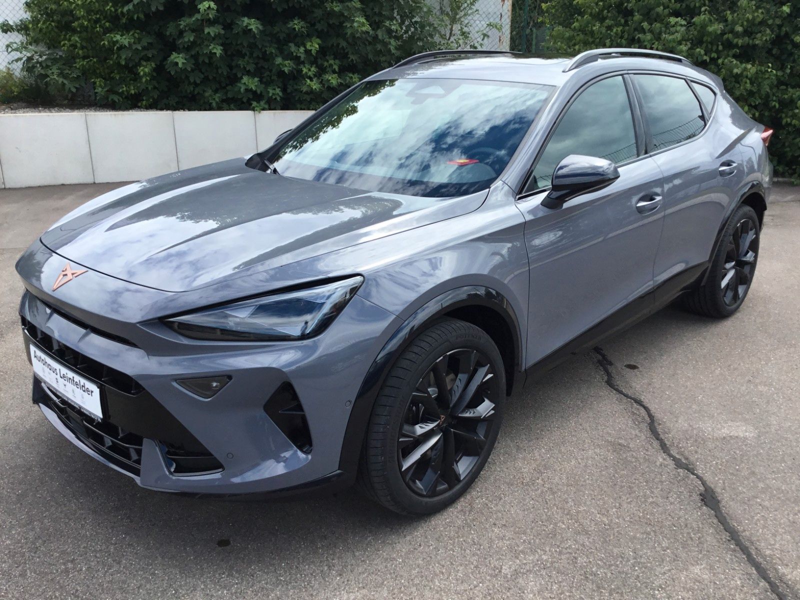 Fahrzeugabbildung CUPRA Formentor 2.0 TSI VZ Black Edition DSG+Pano+AHK