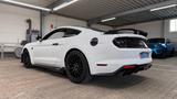 Ford Mustang 5.0 Ti-VCT V8 338kW MACH 1 Auto MACH 1 - Ford Mustang Mach mit Benzin-Antrieb