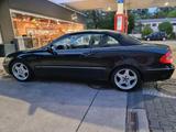 Mercedes-Benz Mercedes CLK240 Cabrio (Avantgarde) - Mercedes-Benz CLK 240: Cabrio