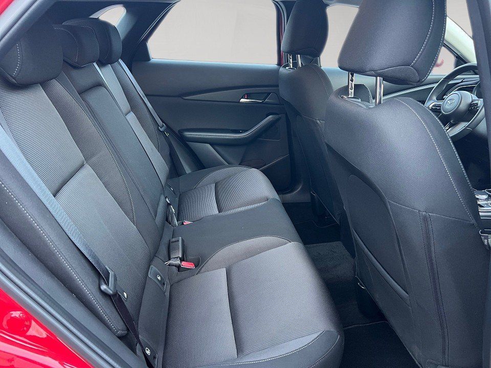 Fahrzeugabbildung Mazda CX-30 X 2.0i 186PS AWD Exclusive DASO