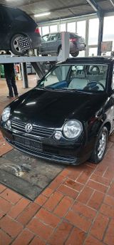 Volkswagen VW Lupo 1,0 - Volkswagen Lupo aus 2000