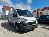 Fiat Ducato Kasten 33 130 L2H1 AHK Radio Tüv Neu - Fiat Ducato: L2h1