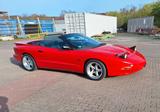 Pontiac Firebird 3.4i V6 GEIGER - Pontiac Firebird: Cabrio