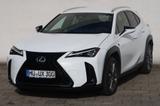 Lexus UX 300h F SPORT Design - gebrauchte Lexus UX aus dem Jahr 2024