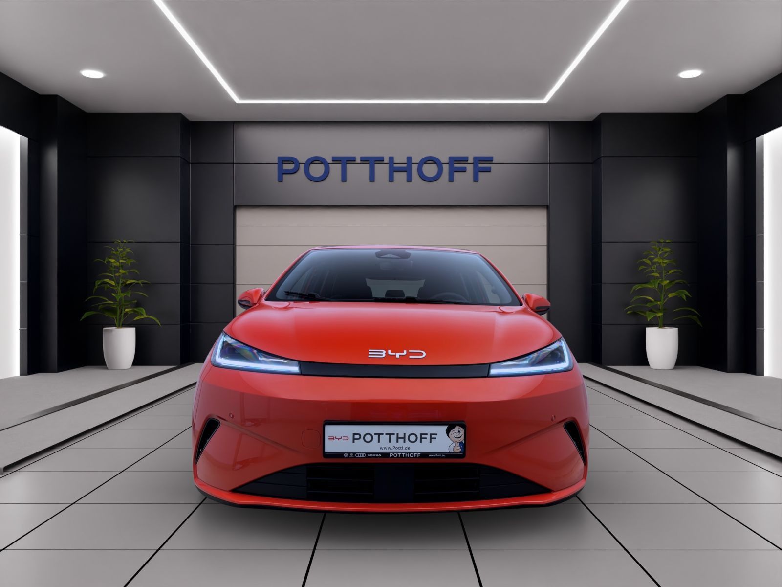 BYD DOLPHIN