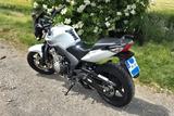 Honda CBF600NA - HONDA ABS CBF 600 NA