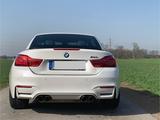 BMW M4 Cabrio M4 - BMW M4: Cabrio