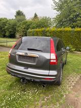 Honda CR-V 2.0 Elegance 50 Jahre Edition Elegance ... - Honda CR-V Gebrauchtwagen