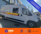 Fiat Weinsberg Carabus 600 K | 2023 | EURO 6 - Fiat 600