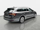 Skoda OCTAVIA COMBI 1.0 TSI E-TEC DSG AMBITION NAVI LE - Skoda Octavia aus 2024