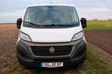 Fiat Ducato Kastenwagen L1 - Fiat Ducato in Wiesbaden