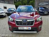Subaru Forester Active - Subaru Forester mit Benzin-Antrieb: Active