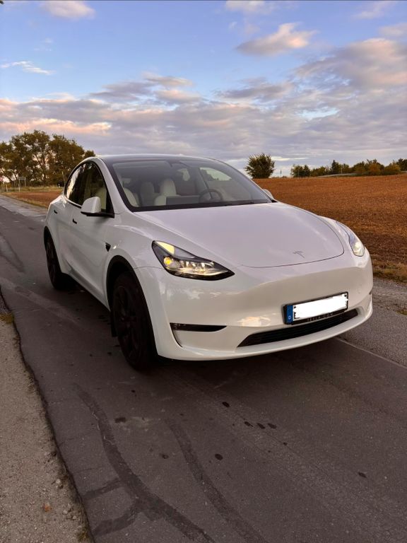 Image of Tesla Model Y